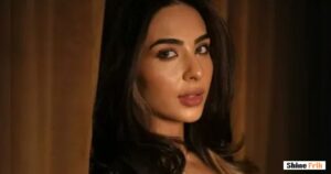 Laila Faisal Career Journey